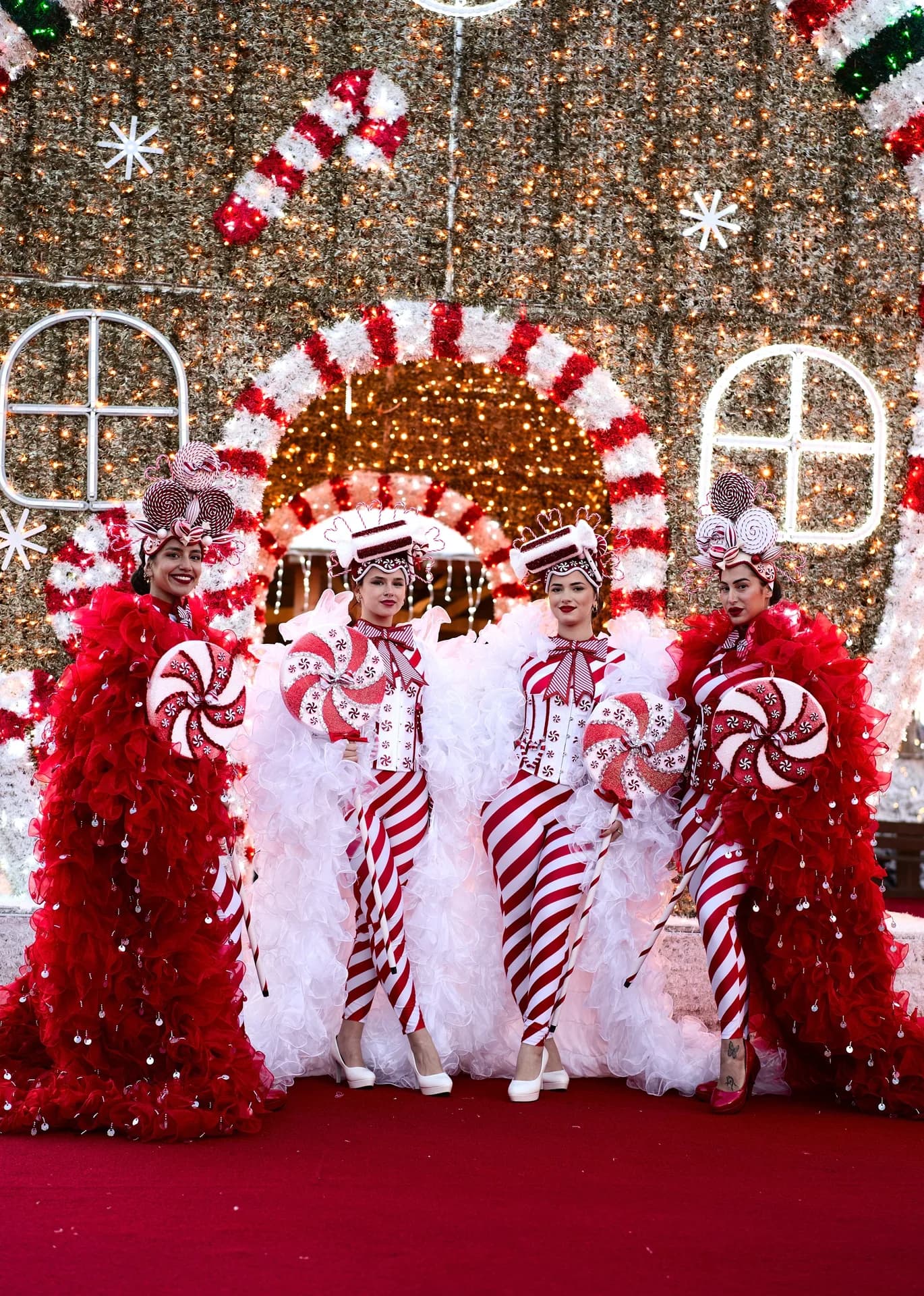Magic Christmas — photo 5