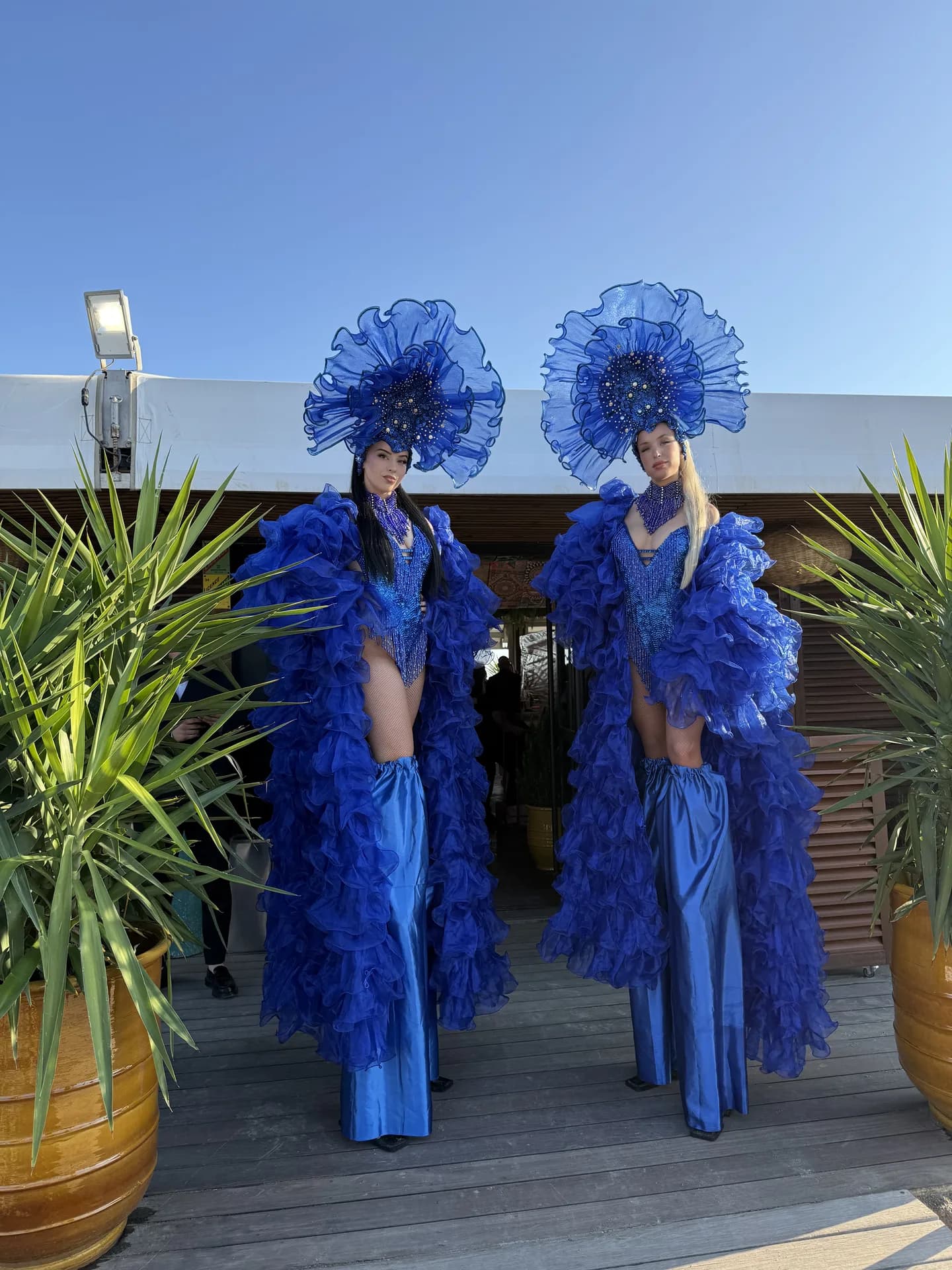 Restaurants festifs & Beach clubs