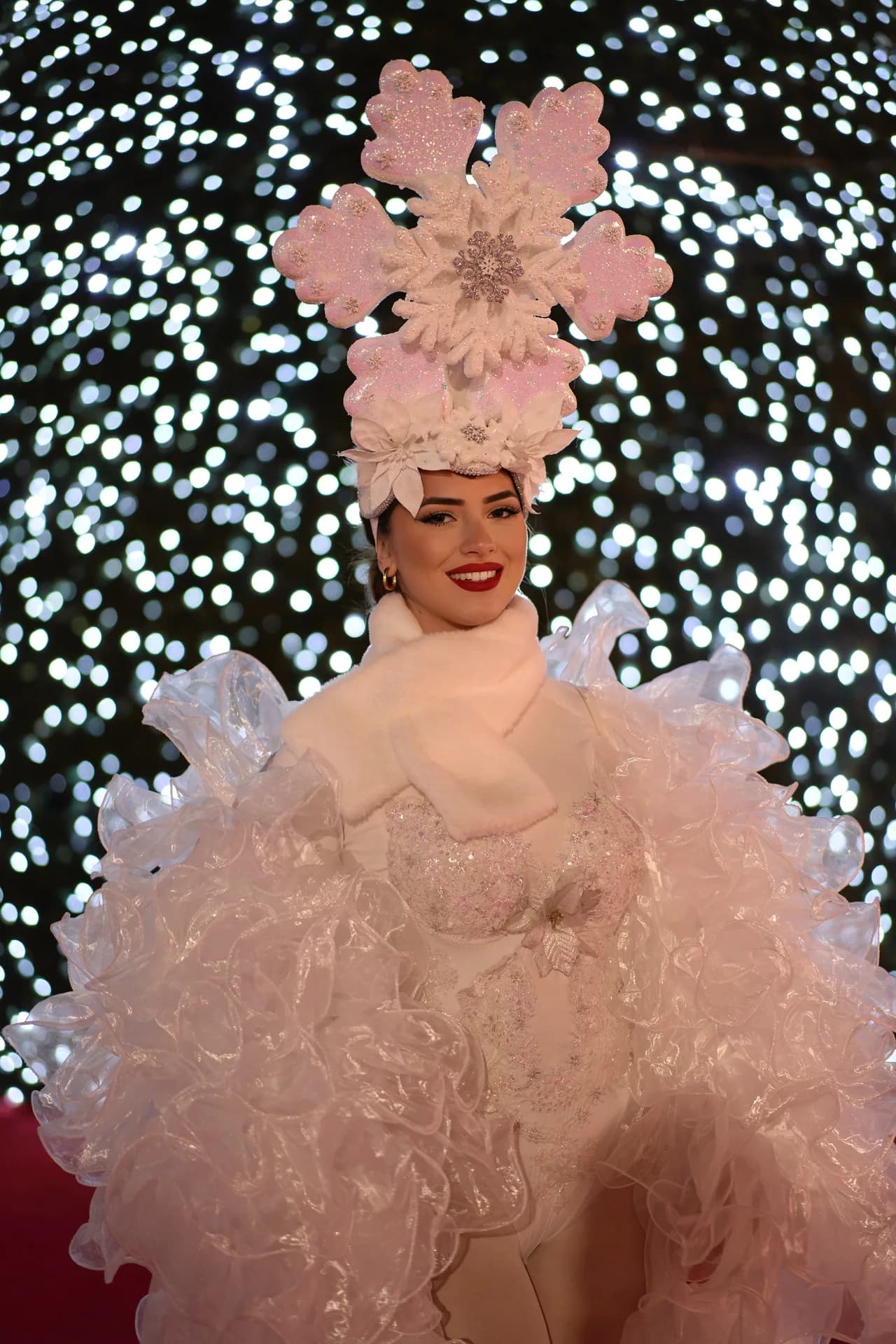 Parades de Noël — photo 3